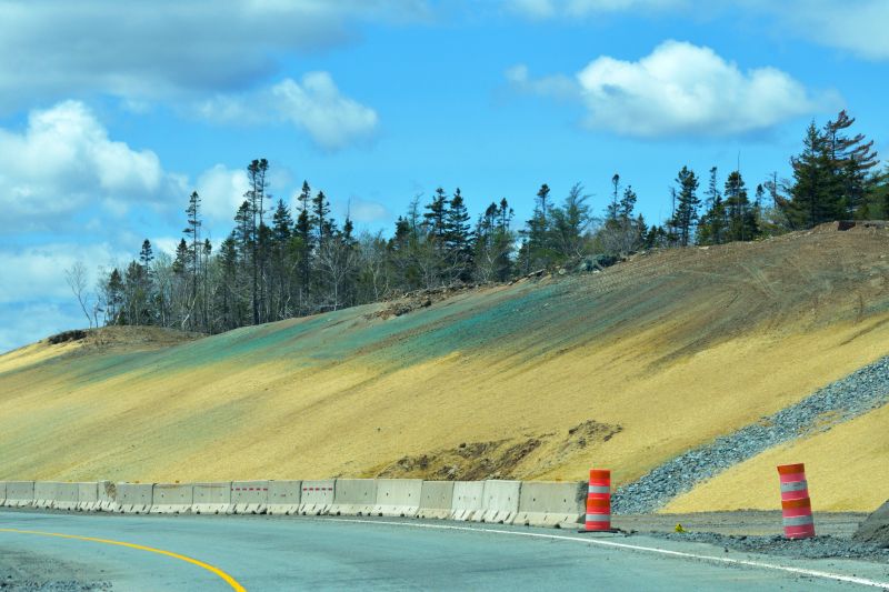 hydroseeding contractors