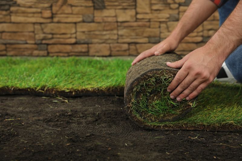 Bluegrass Sod Installation in Rockwall, TX