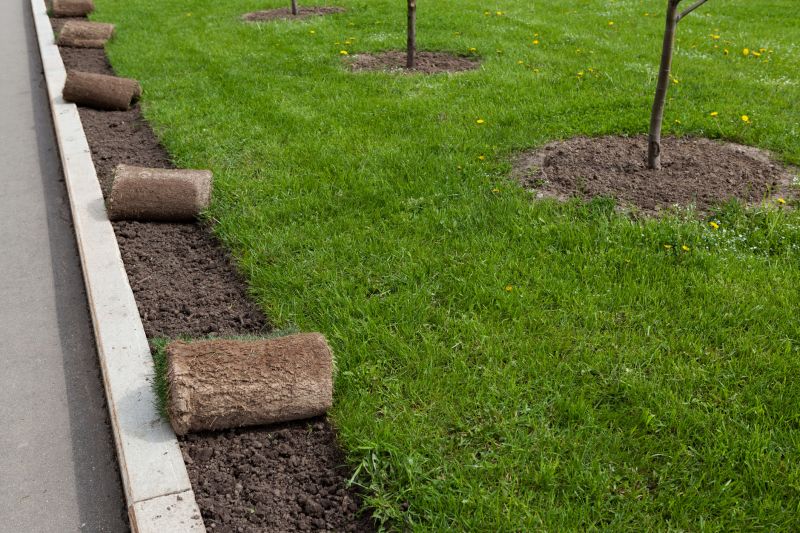 Bluegrass Sod Installation in Honolulu, HI
