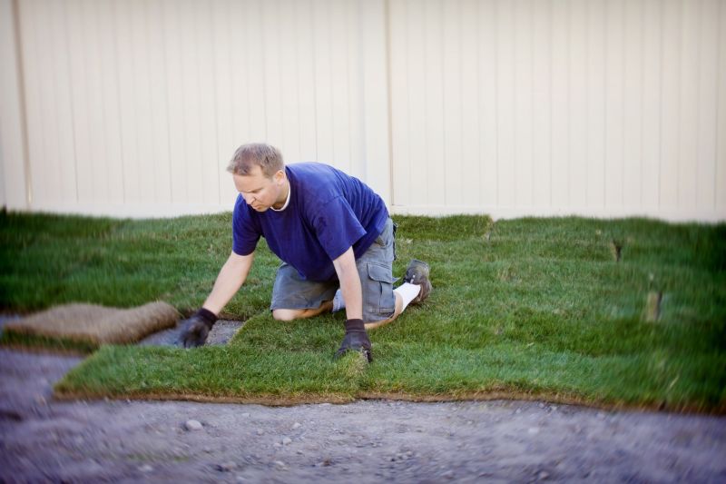 Bluegrass Sod Installation in Ventura County, CA