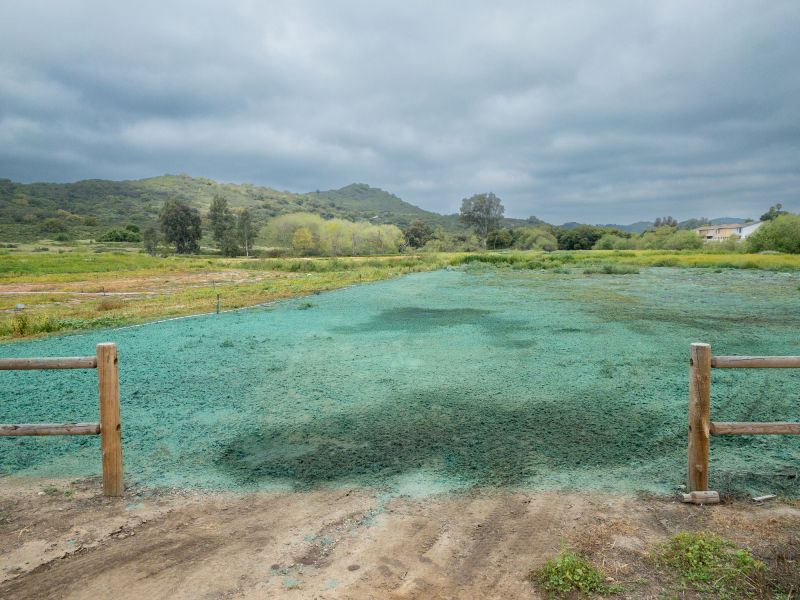Hydroseeding Contractors