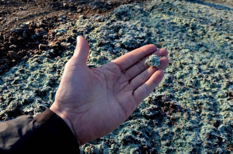 Seasonal Landscaping Work