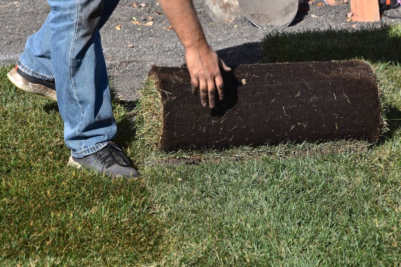 Lawn Sodding in Rockwall, TX
