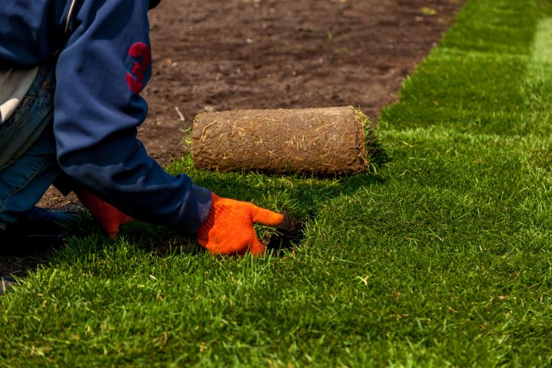 Lawn Sodding in Aiken, SC