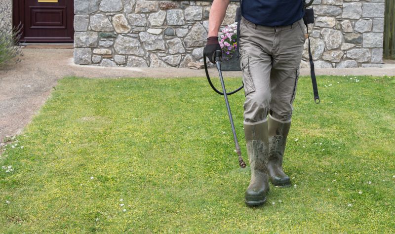 Lawn Weed Control in Ventura County, CA