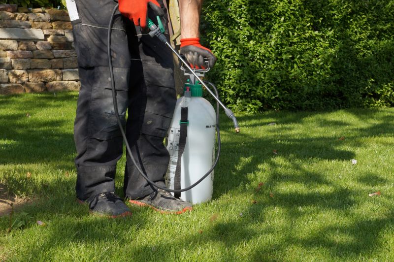 Lawn Weed Spraying in Honolulu, HI