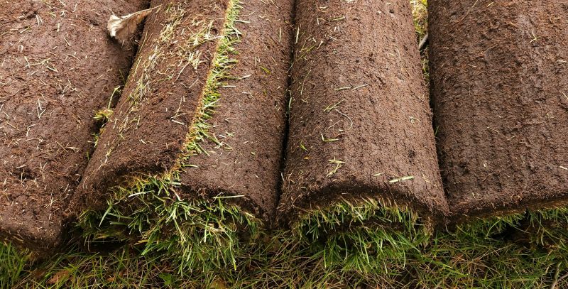 Sod Replacement in Aiken, SC