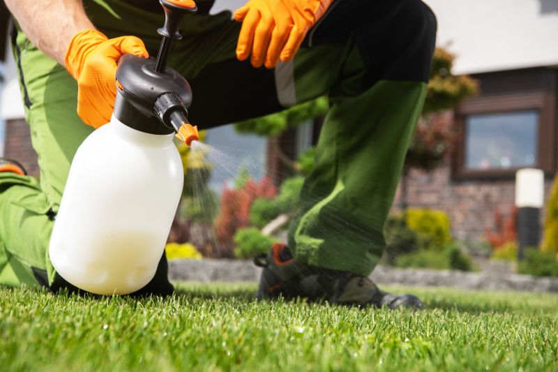 Weed Prevention Service in Honolulu, HI