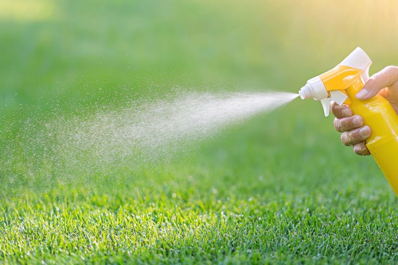 Weed Prevention Service in Honolulu, HI