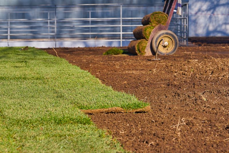 Yard Sod Installation in Aiken, SC