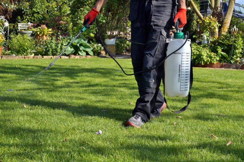 Lawn Weed Spraying in Aiken, SC