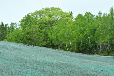 Hydro Seeding - Hydro Seeding Conroe, Texas